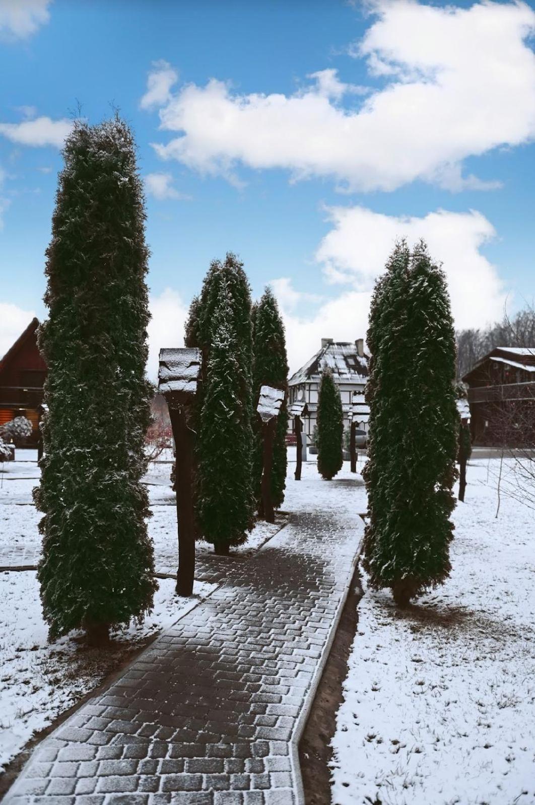 Orlyne Gnizdo Hotel Tsjernivsi Buitenkant foto