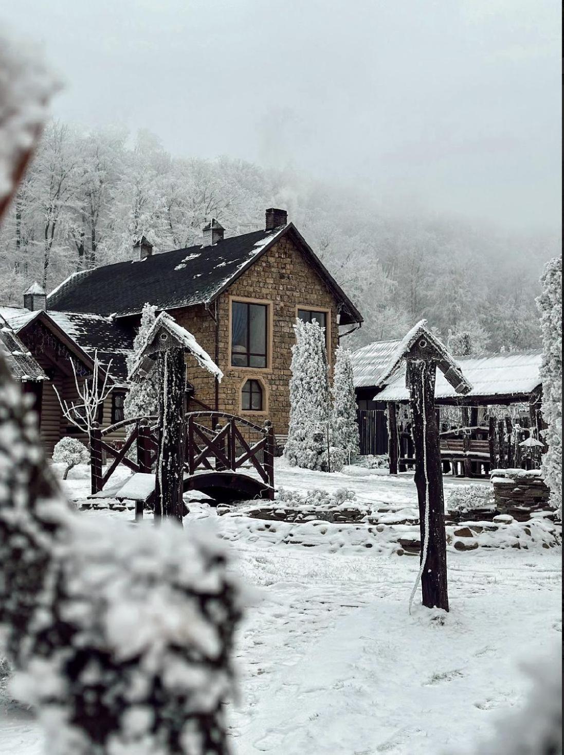 Orlyne Gnizdo Hotel Tsjernivsi Buitenkant foto